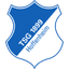 1899 Hoffenheim W crest