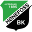 Hønefoss W crest