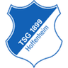 Hoffenheim II W crest