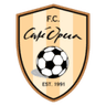 FC Djursholm W crest