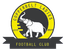 Copperbelt Ladies W crest