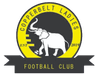 Copperbelt Ladies W crest