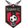 TS Galaxy W crest