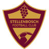 Stellenbosch W crest